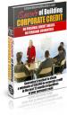 Secrets of Building Corporate Credit cover