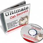 ultimate-cat-secrets