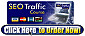SEO Traffic Course