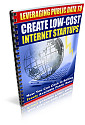 Leveraging Public Data to Create Low-Cost Internet Startups