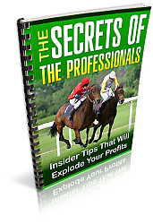 THE SECRETS OF THE PROFESSIONALS