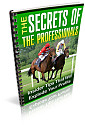 THE SECRETS OF THE PROFESSIONALS