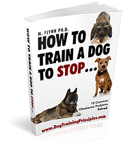 How To Train A Dog To Stop….
